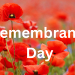 Remembrance Day 2023 and poppy color meaning