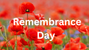 Remembrance Day 2023 and poppy color meaning